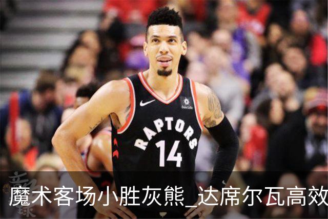 魔术客场小胜灰熊 达席尔瓦高效发挥引领队伍